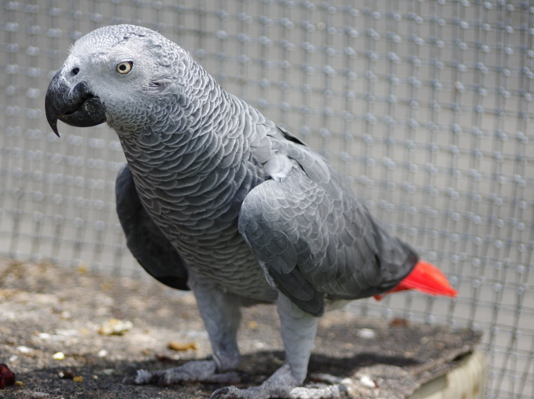 TPA Park-Frankfort必去景点