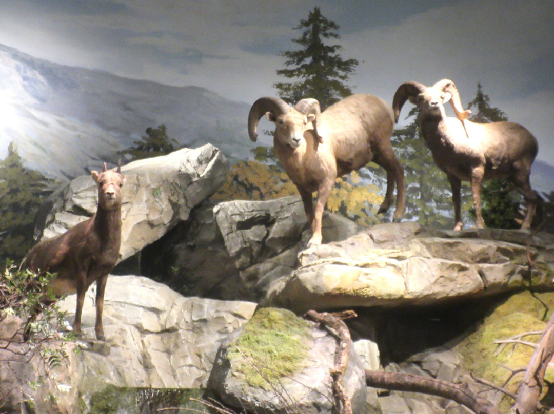 Bass Pro Shops-圣何塞必去景点