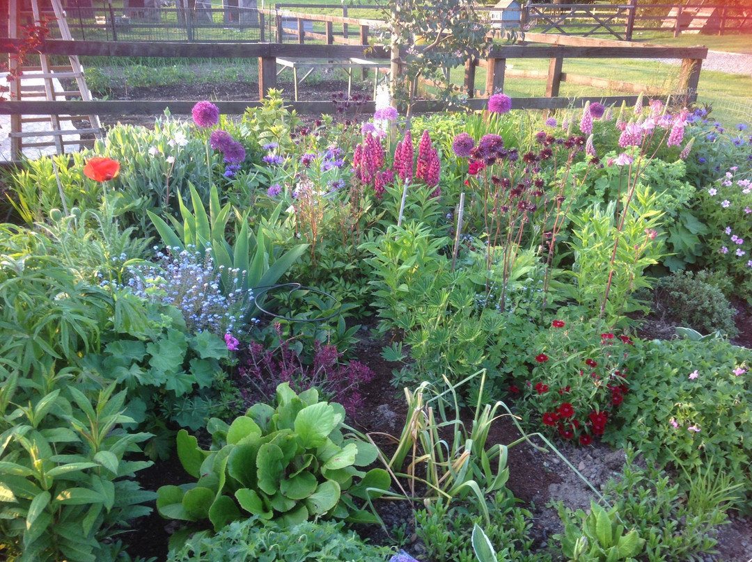 The Granary at Morton主图