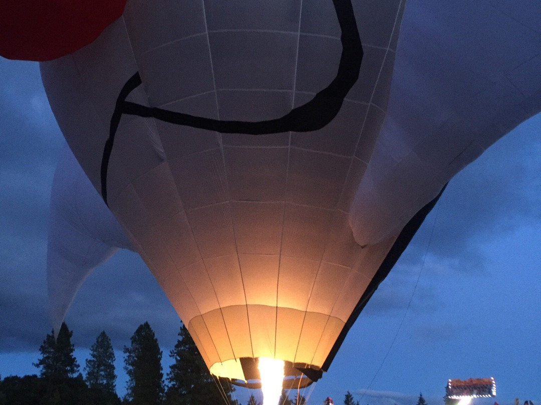 Cook Park-泰格德必去景点