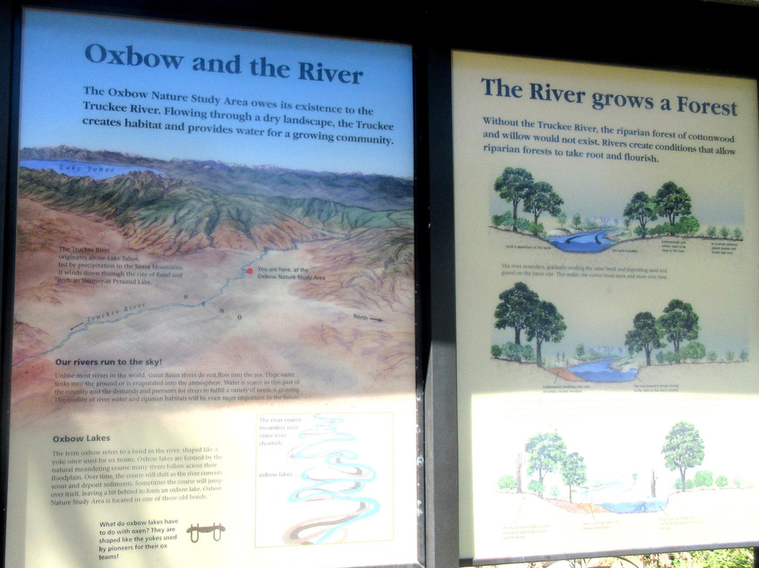 Oxbow Nature Study Area-里诺必去景点