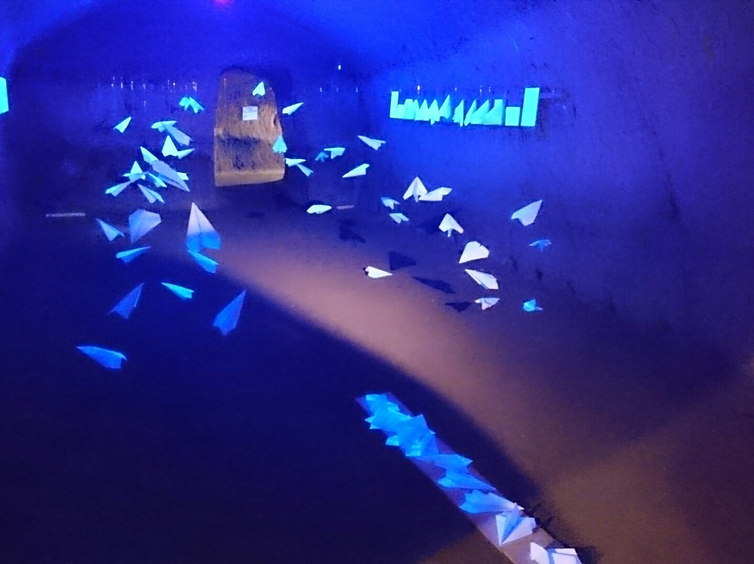 WWII Underground Shelter-Adamas必去景点