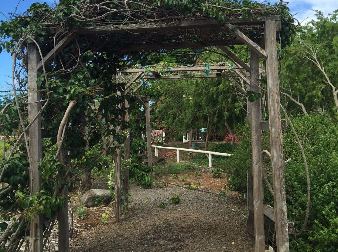 University of Hawaii: Urban Garden Center景点图片