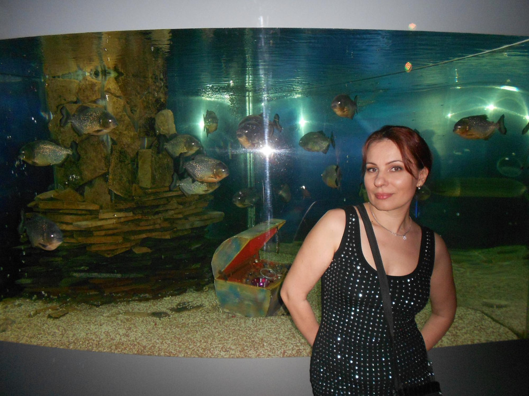 Anapskiy Okeanarium-阿纳帕必去景点