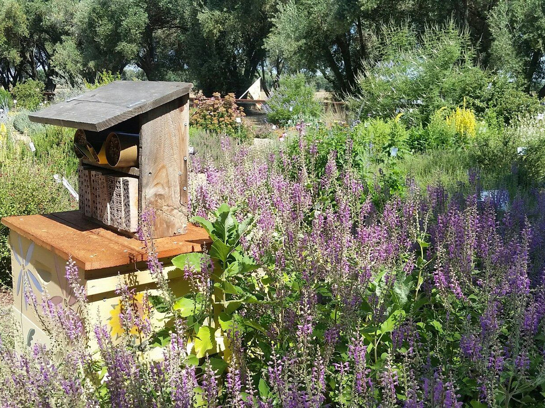 Häagen-Dazs Honey Bee Haven-戴维斯必去景点