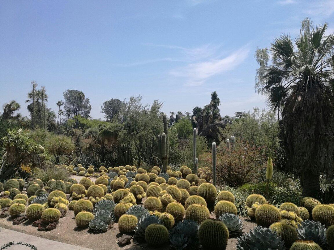 亨廷顿图书馆-圣玛利诺必去景点
