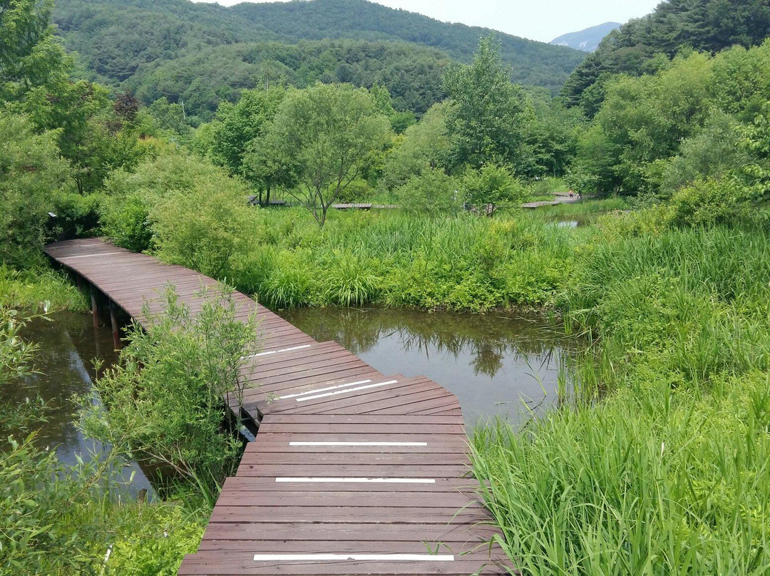 Pyunggang Botanical Garden-抱川市必去景点