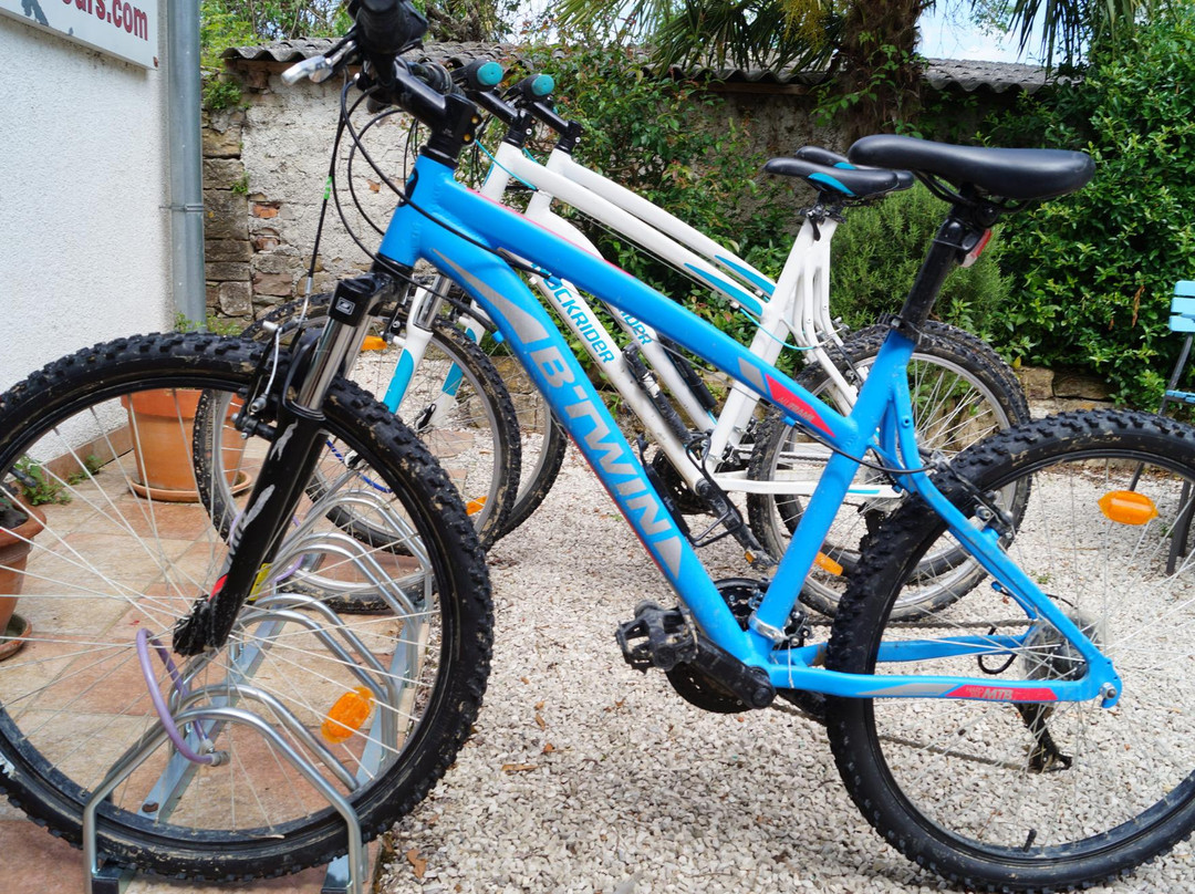 Montona Tours - Rent a Bike Point Motovun-Motovun必去景点