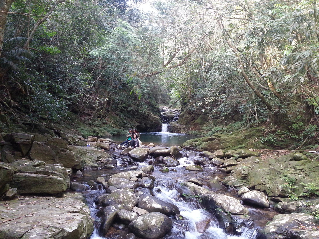 Bach Ma National Park景点图片