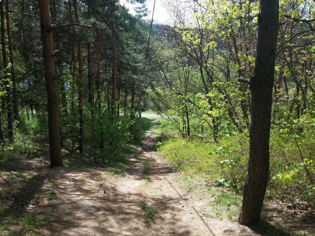 Poltava City Park - Arboretum-Poltava必去景点