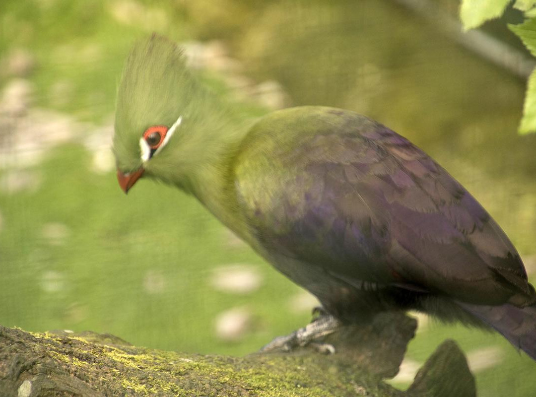 El Rincon de las Aves-Pravia必去景点