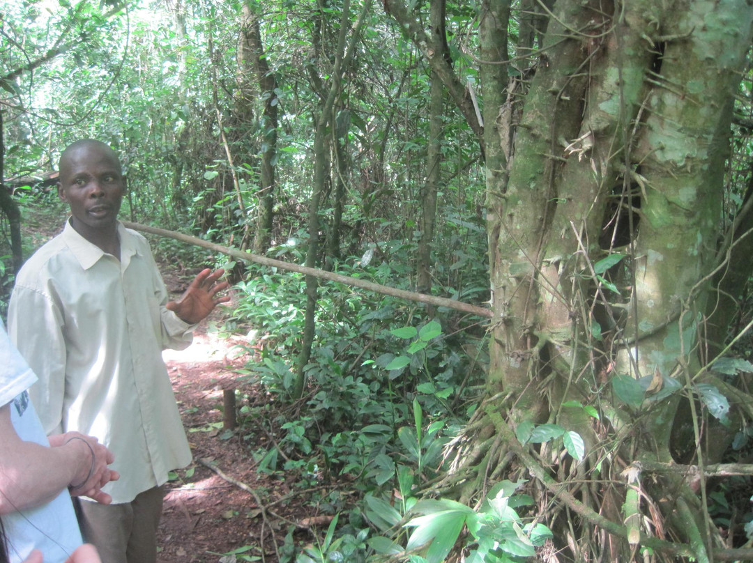 Griffin Falls-金贾必去景点
