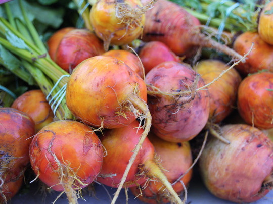 Chico Certified Farmer's Market-奇科必去景点