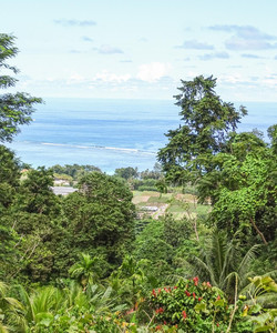 Le Jardin Du Roi Spice Garden景点门票图片