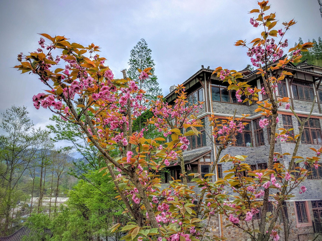 白鹿上书院景点图片