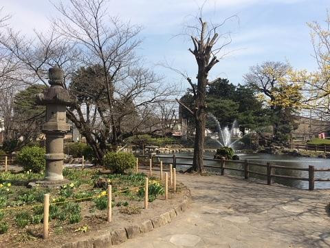 Dai 2 Park-栃木市必去景点