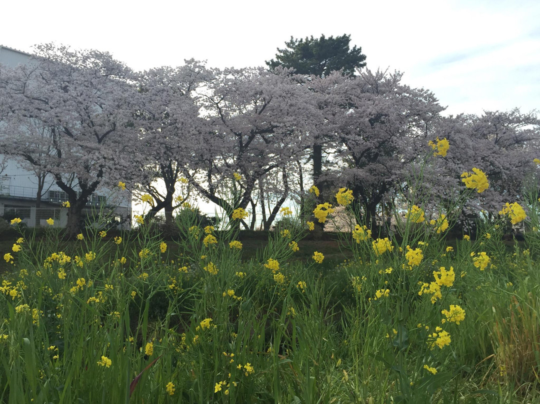 Sanagawa Embankment-丰川市必去景点