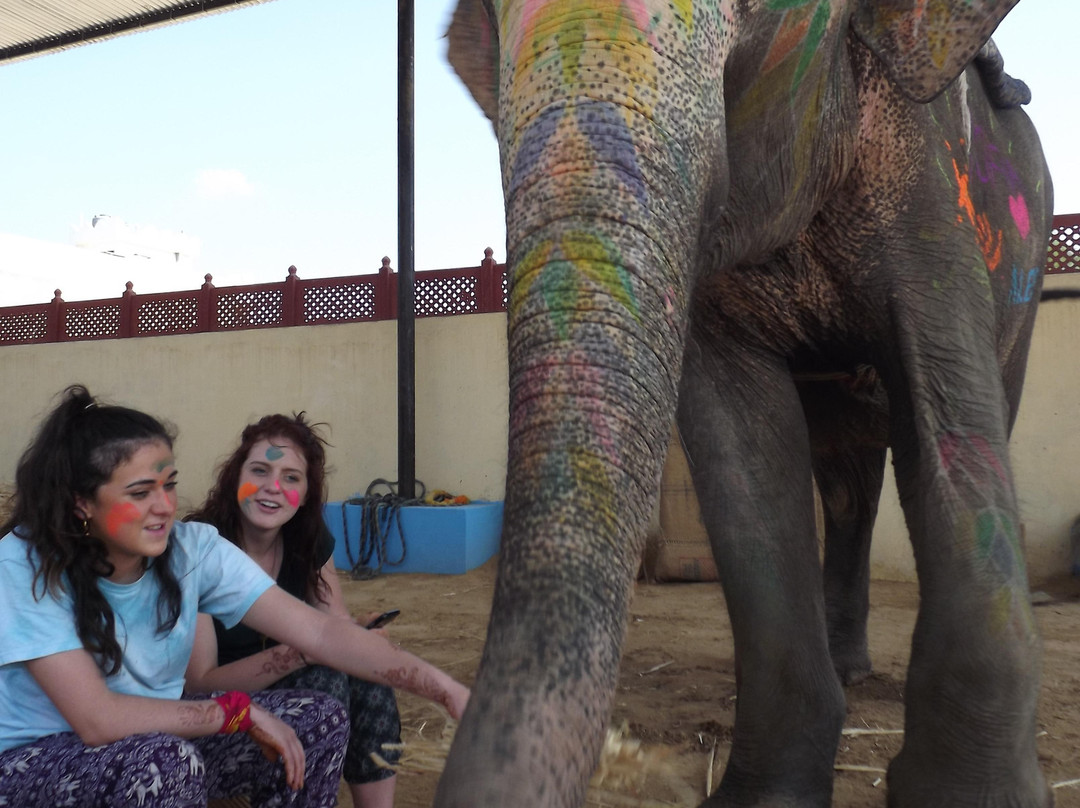 Elephant Activity Planner-斋蒲尔必去景点