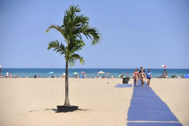 Reefpoint Marina-拉辛必去景点