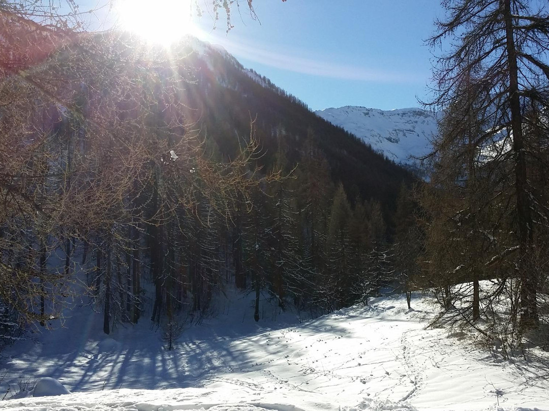 Vallon de Narreyroux景点图片
