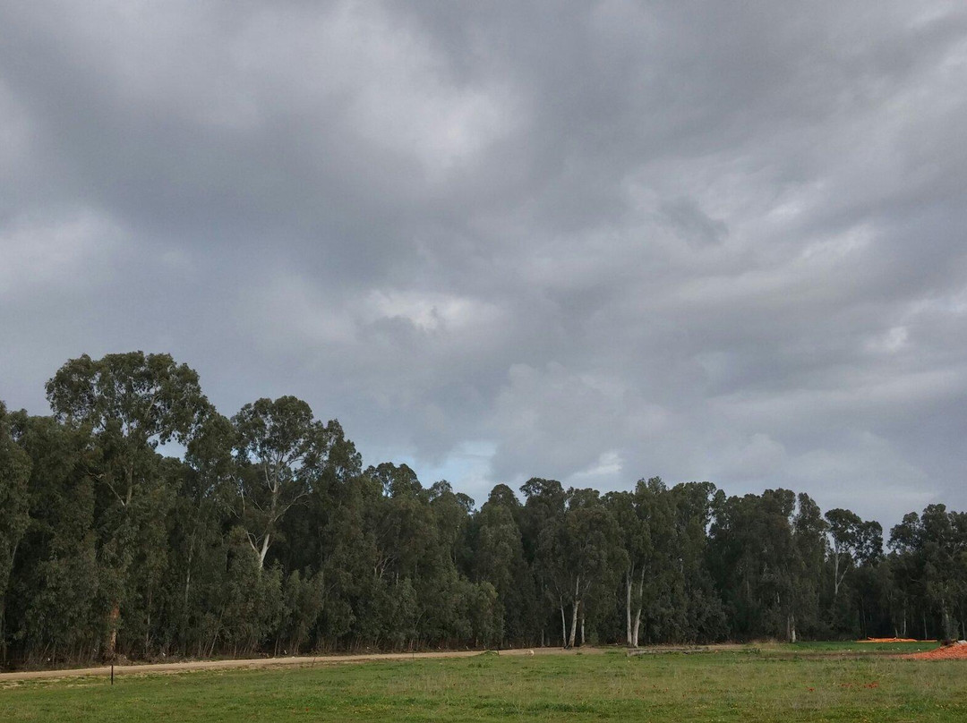 HaSharon Park-Hadera必去景点