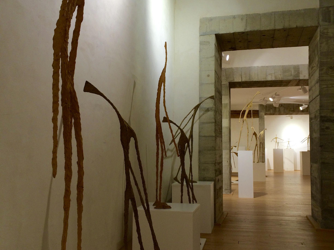 Musée & Jardins Cécile Sabourdy景点图片