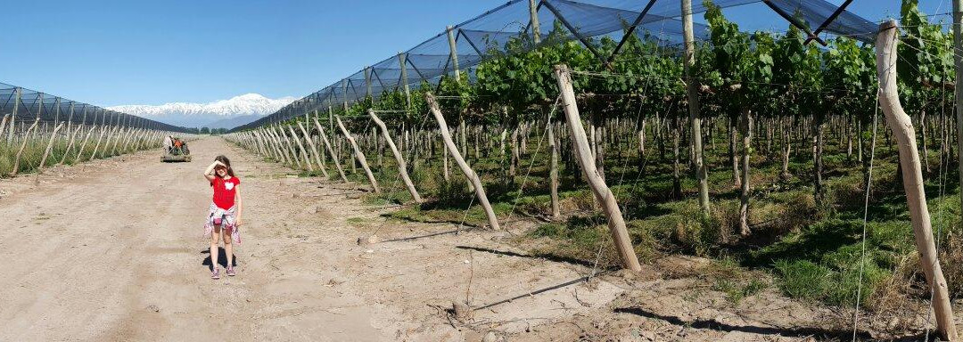 Bodegas y Vinedos Antonio Nerviani-Maipu必去景点