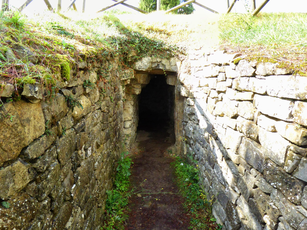 Tombe Etrusche a Montecalvario-卡斯特利纳－因基安蒂必去景点