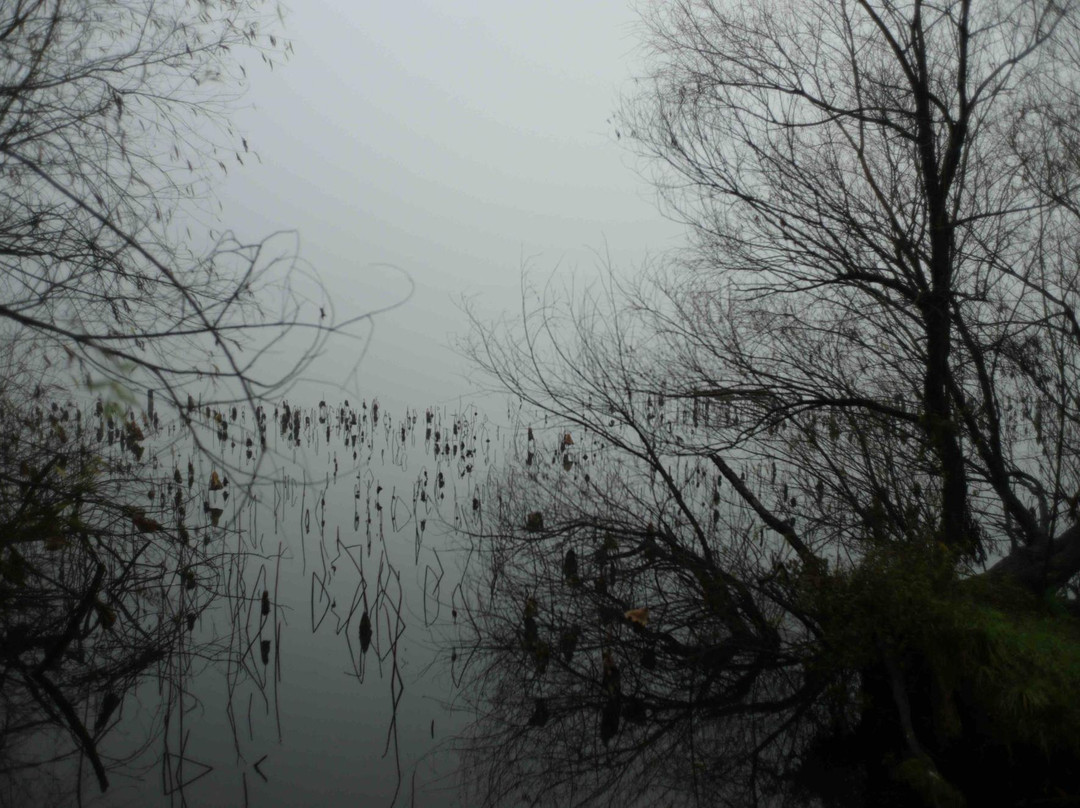 团城山公园-黄石市必去景点