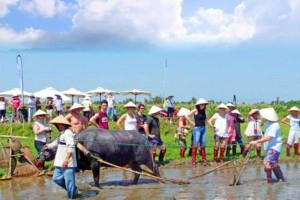 Hoian Day Trip - Day Tours景点图片