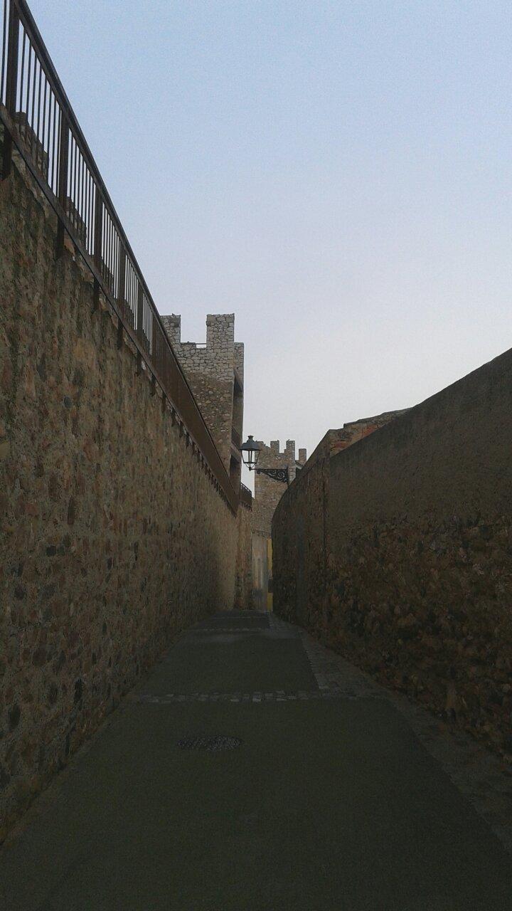Cal Magret-官方