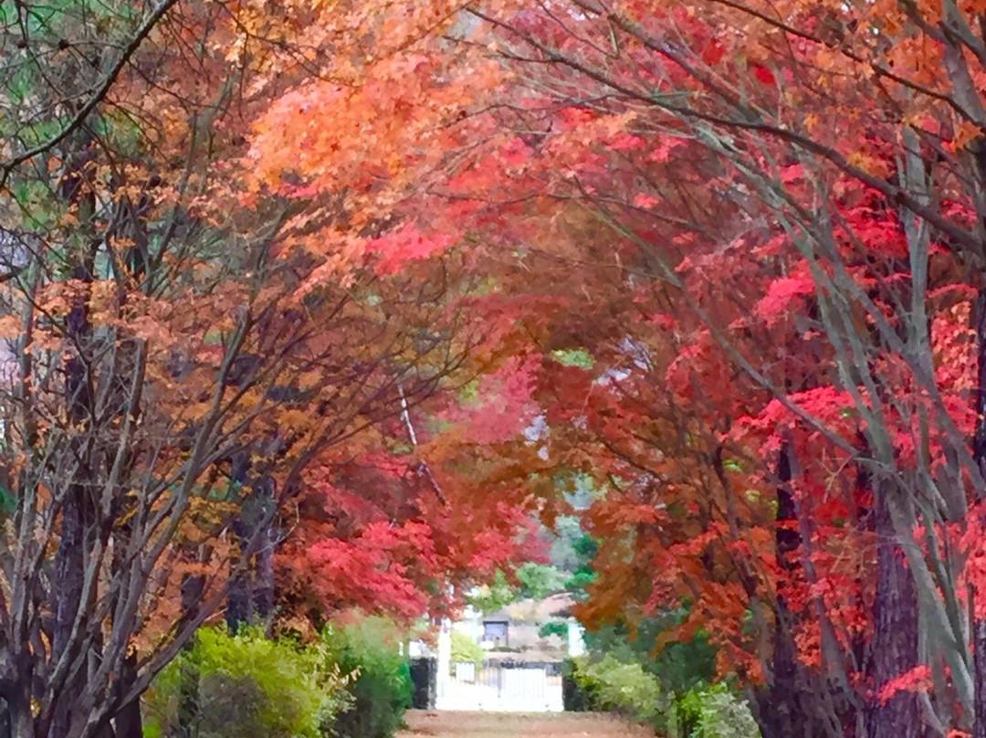 Seowoon Park-抱川市必去景点