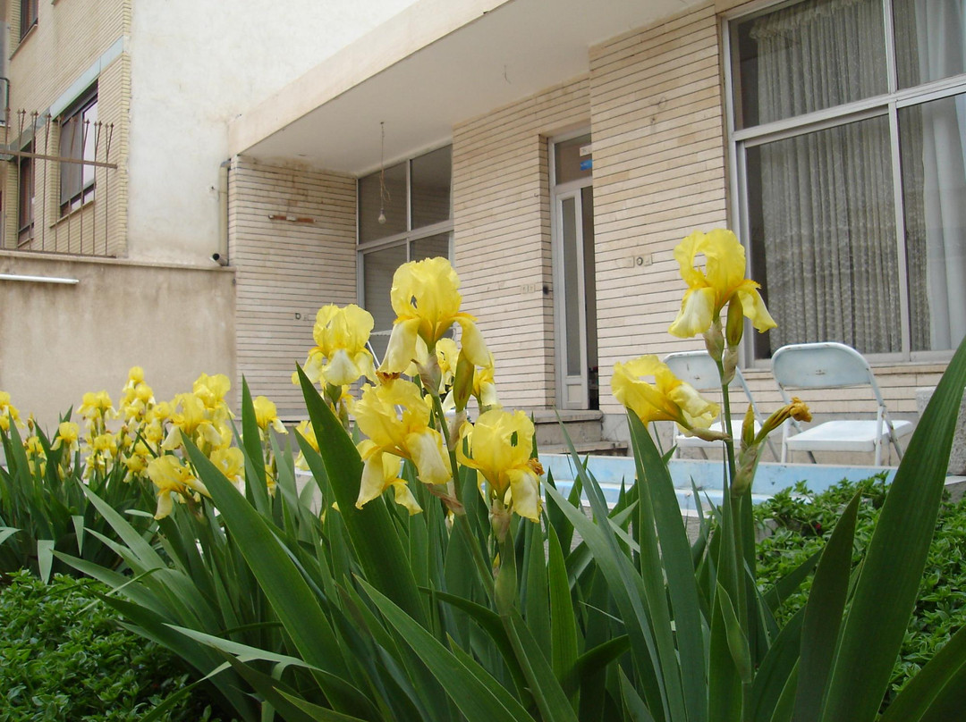 Nik Guest House主图