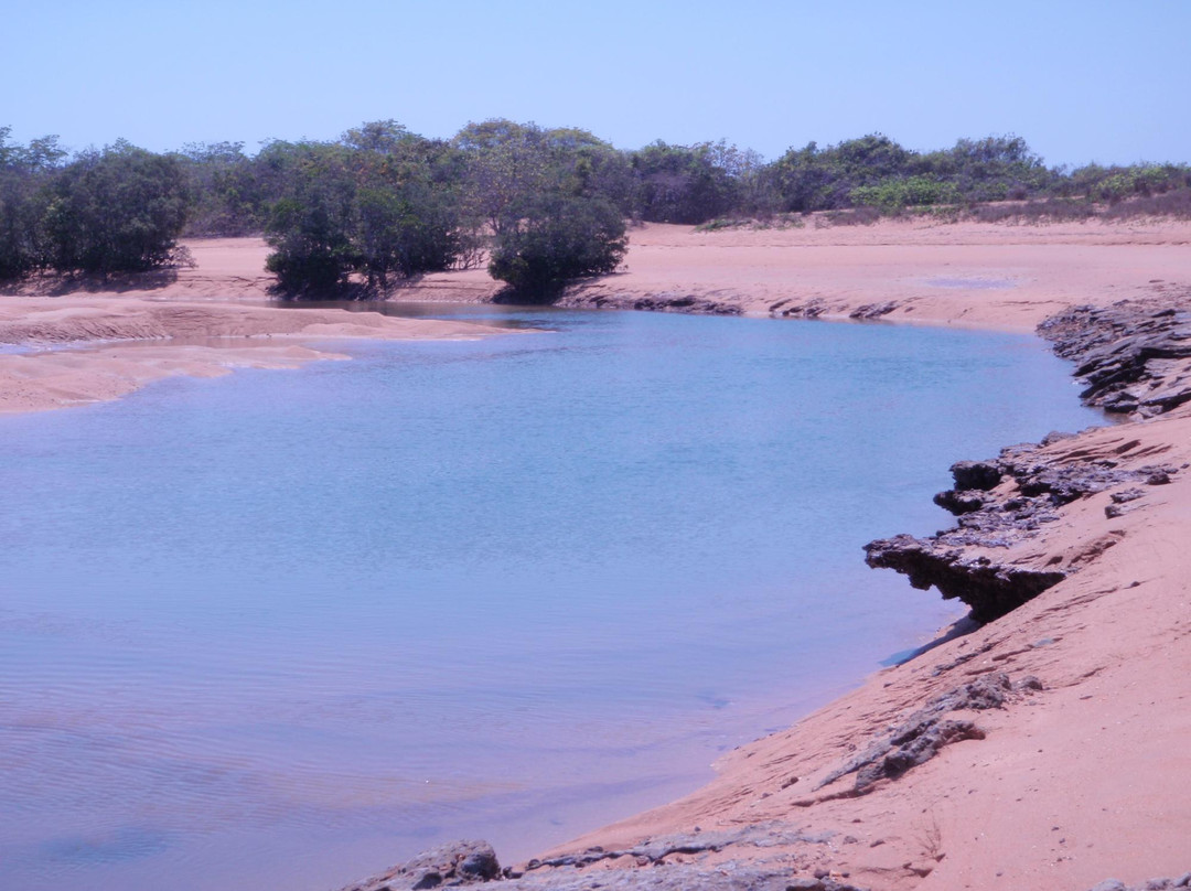 Dundee Beach旅游攻略图片