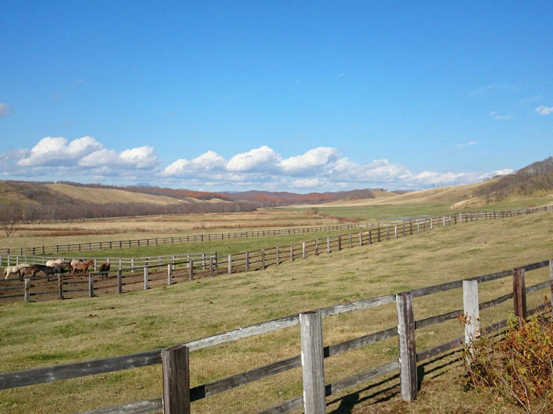 Tsurui Dosanko Farm-鹤居村必去景点