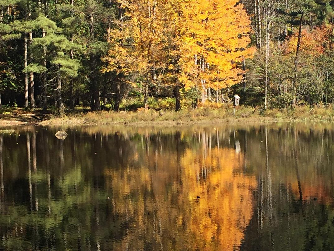 Gilbert Lake State Park-Laurens必去景点