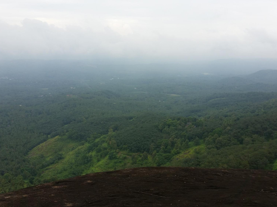 Kumaragiri Farm & Nature Camp-Malappuram必去景点