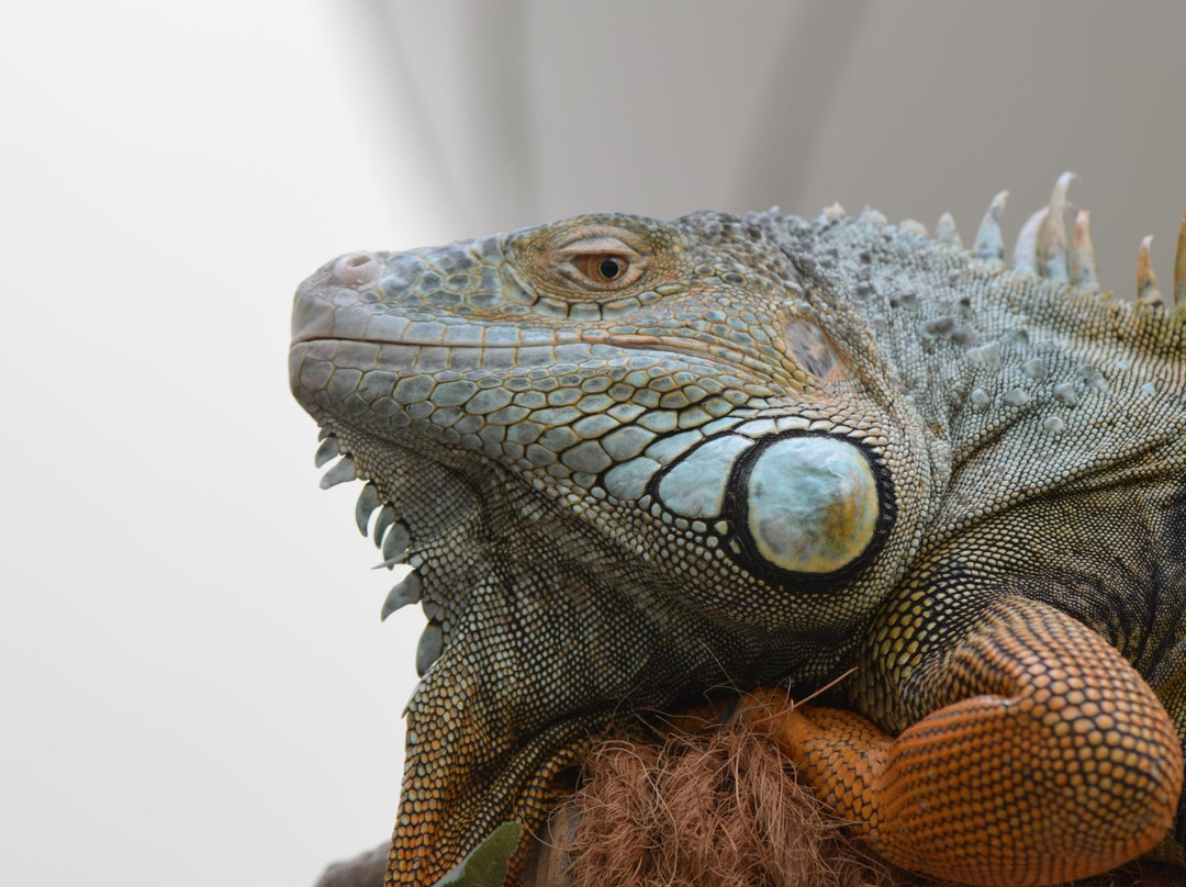 Eco Parkland Zoo-咸平郡必去景点