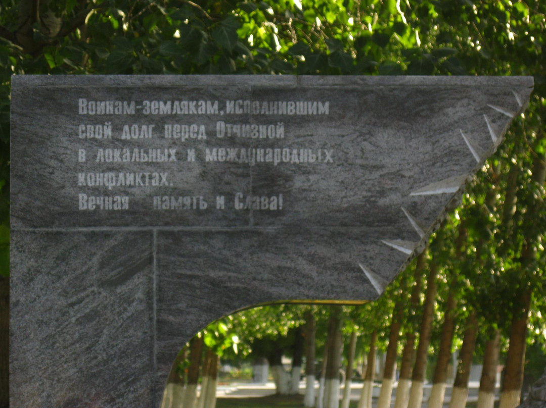 Vladimirovka旅游攻略图片