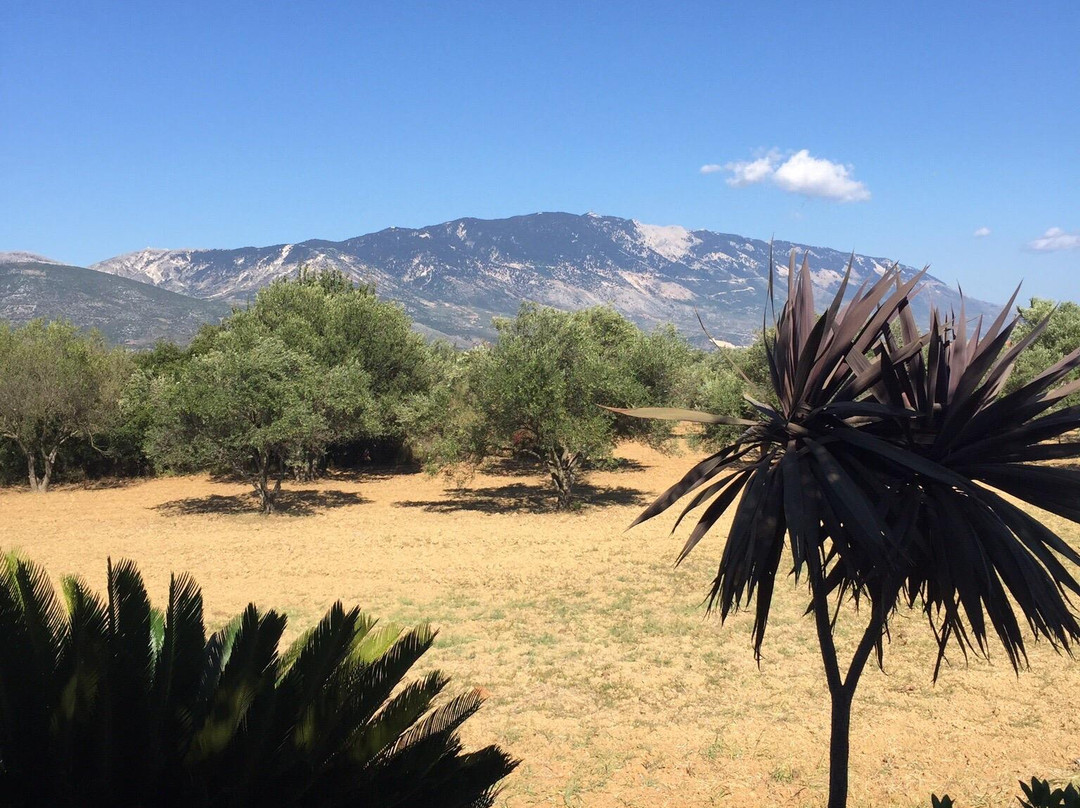 Villa Moschona主图