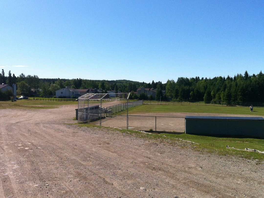 Dyer's Field-Marathon必去景点