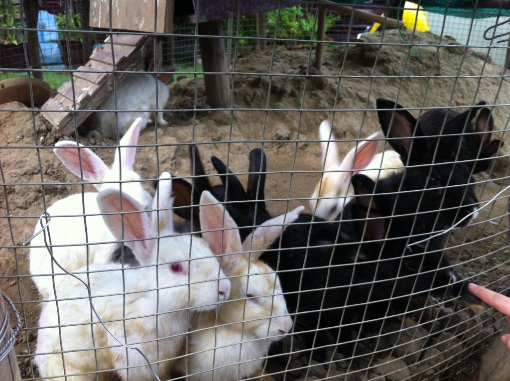 Hotel Mega Stars主图