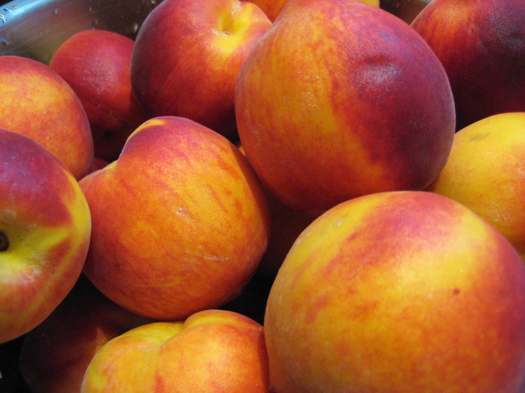 Johnson's Peaches景点图片