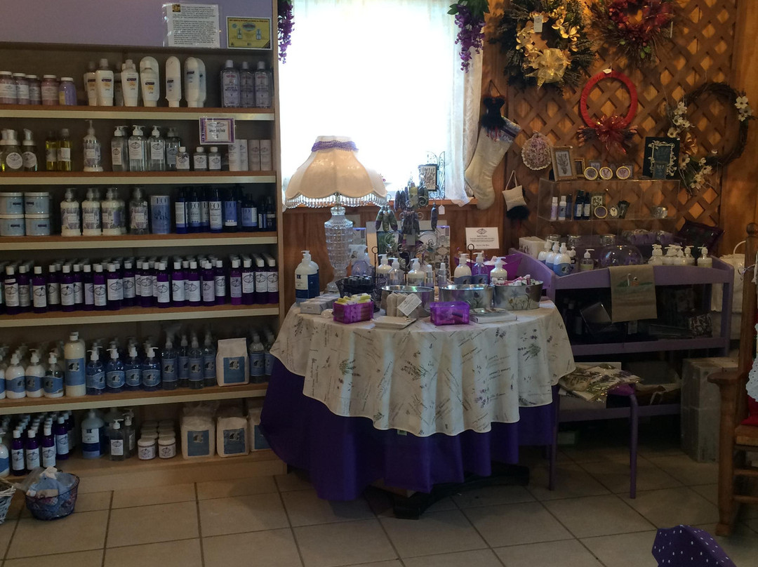 Lavender Fields Farm-Milton必去景点