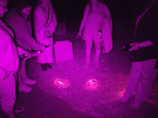 Plymouth Night Tour-普利茅斯必去景点