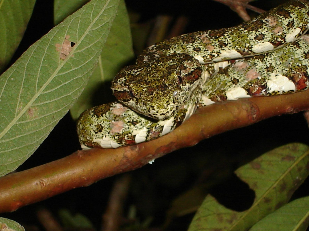 Valle Escondido Night Tour-圣埃伦娜必去景点