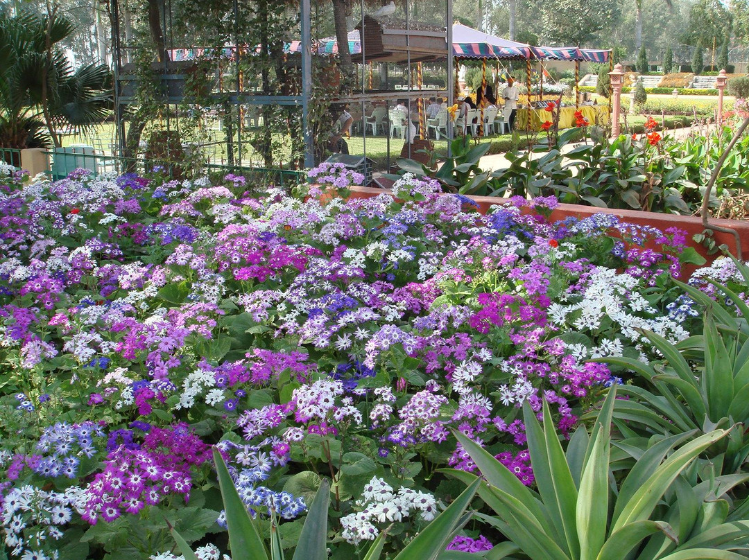 Rajasthan Motel主图