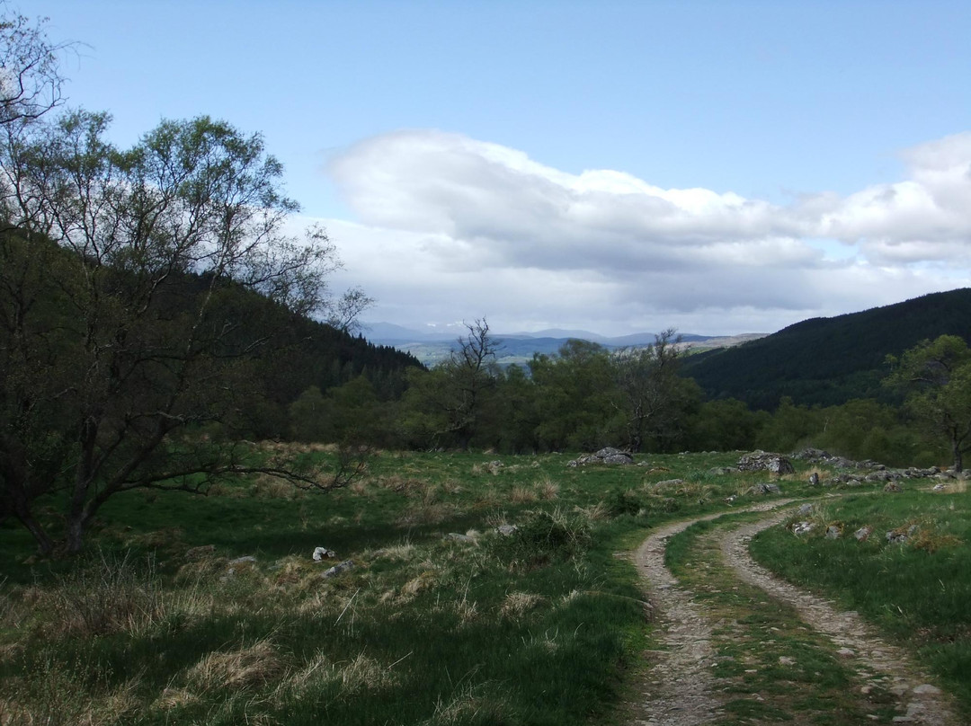 Tay Forest Park-Dunkeld必去景点