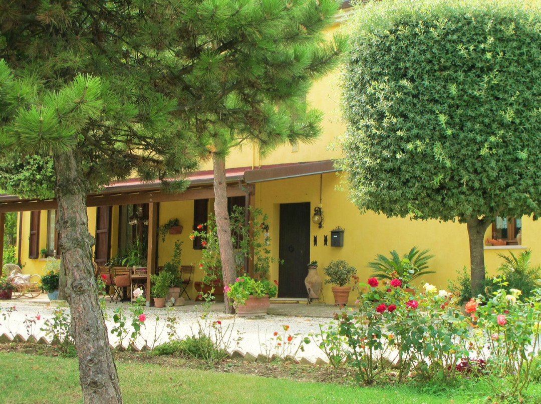 Trecastelli酒店住宿-Lacercua Bed and Breakfast