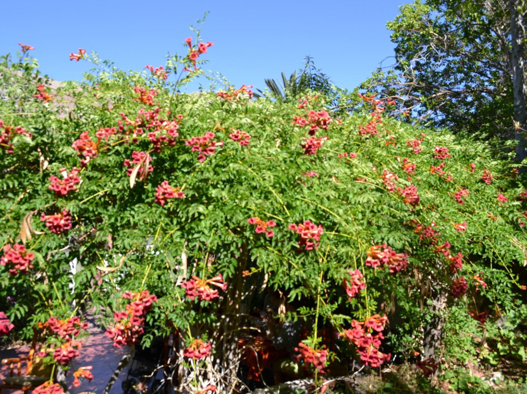 Casa Puka Yana主图